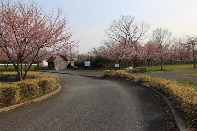 赤川霞堤公園