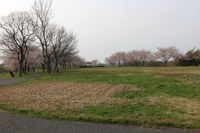 赤川霞堤公園