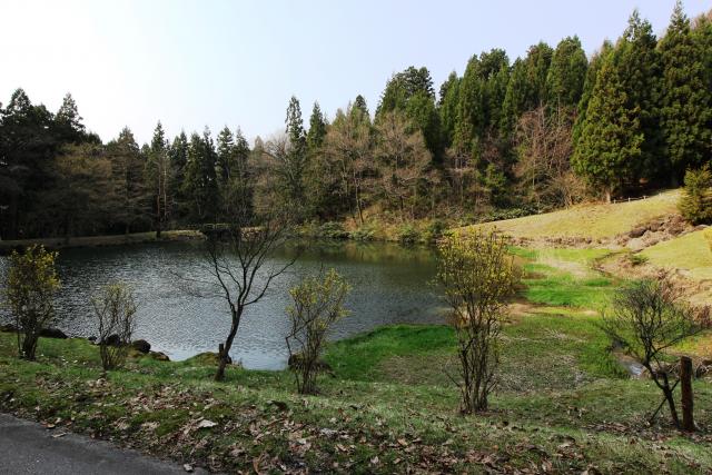 関沢森林公園