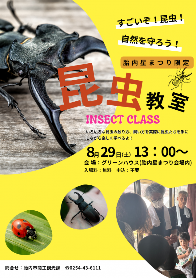 昆虫教室