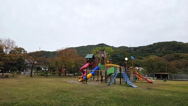 遊園31