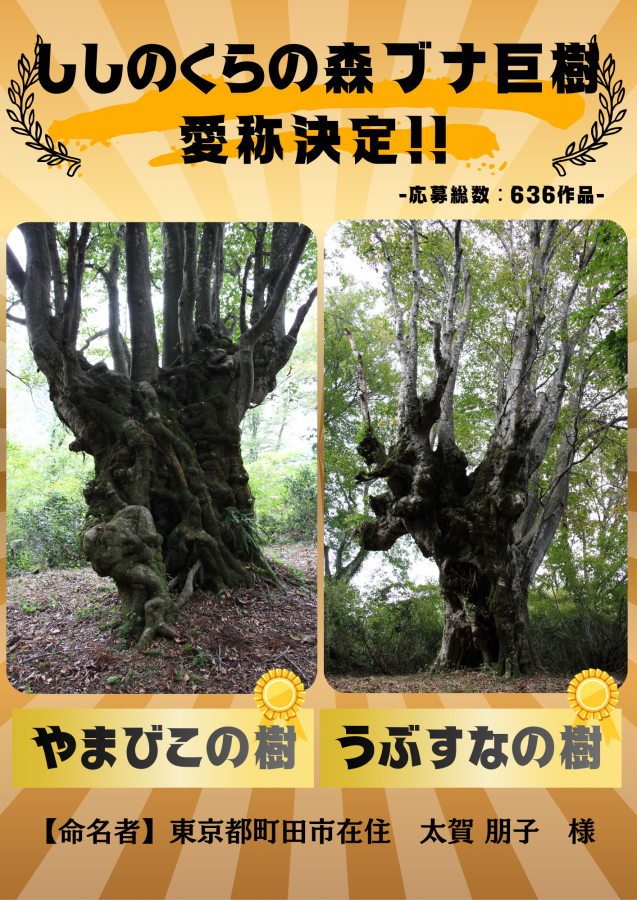 ししのくら決定バナー