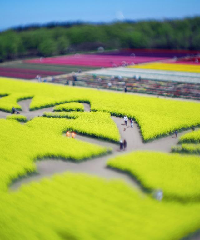 日報賞