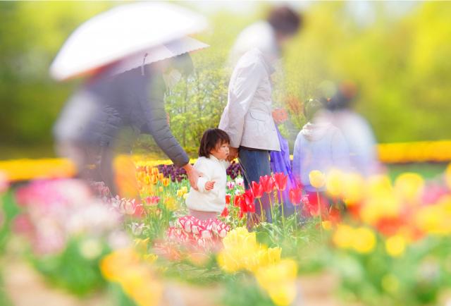 花に包まれて