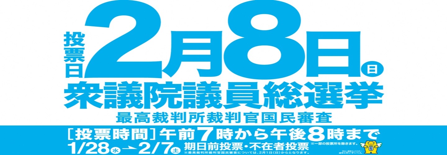 衆議院議員選挙