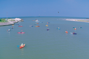 夏の海